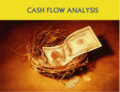 Cash Flow Analysis