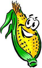 Sweet Corn